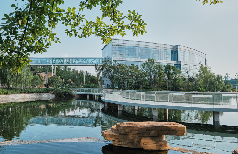 垃圾焚燒發(fā)電