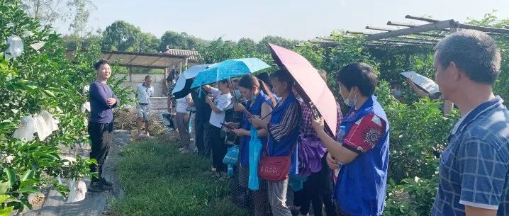 “科技助農    鄉村振興”——勝藍學校2021年合江縣高素質農民培訓紀實